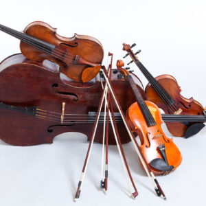 Special Music Event: String Theory String Quartet